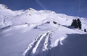 Der Gilfert (2506 m) (6.1.2003) [Zum Vergrößern anklicken]
